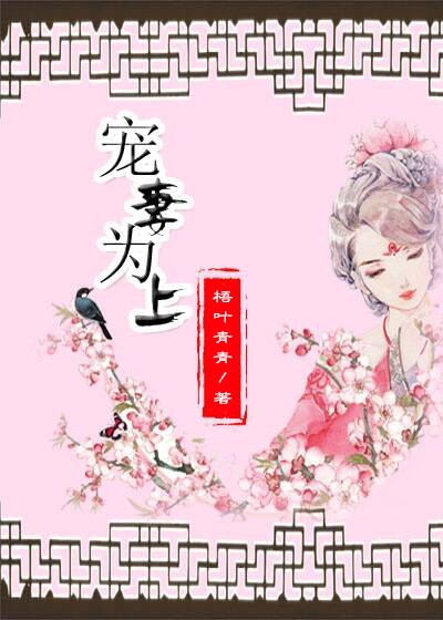 重生之宠妻如命小说