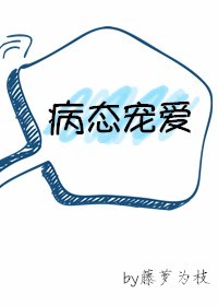 病态宠爱方程式小说
